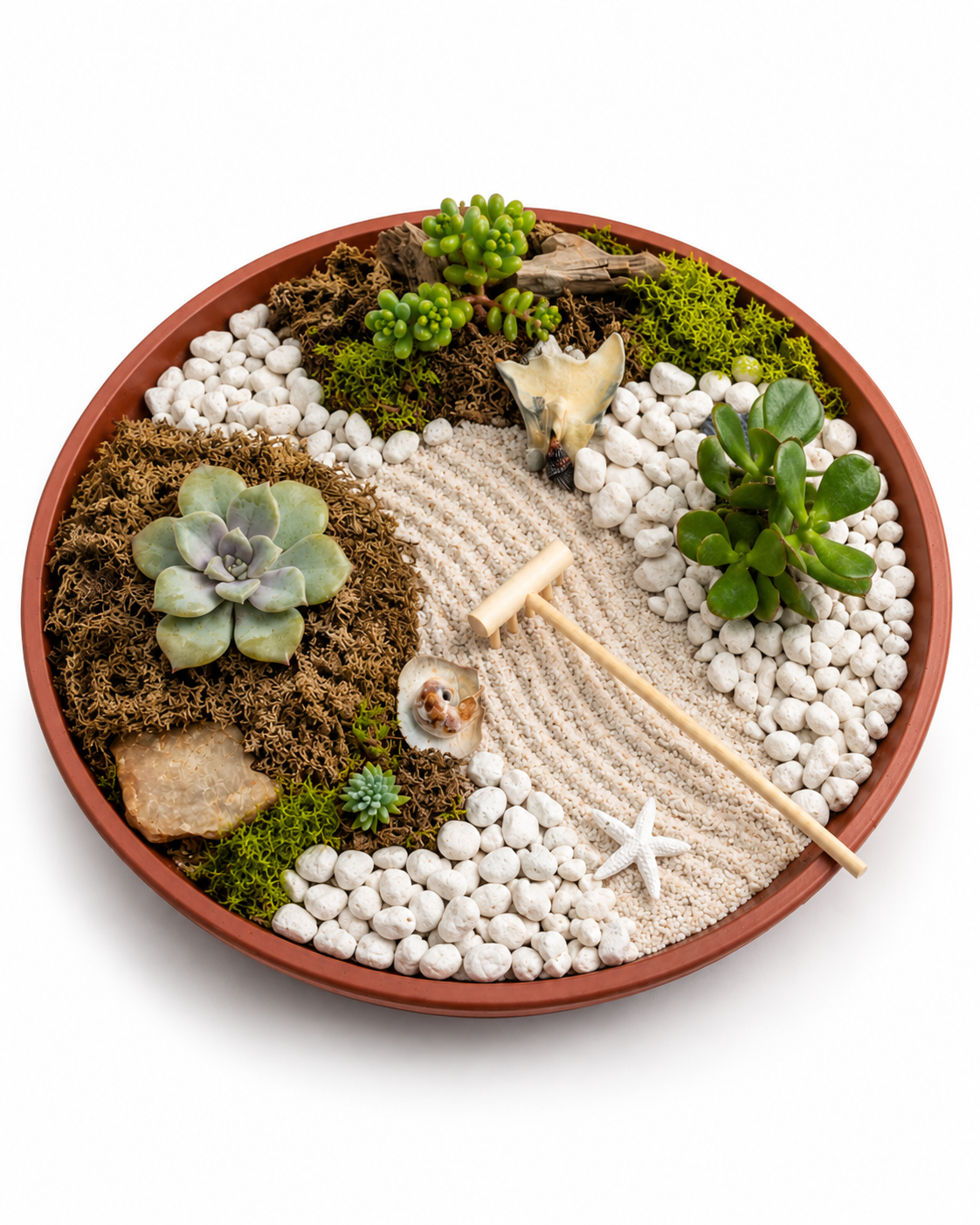 DIY Succulent Zen Garden Kit 1